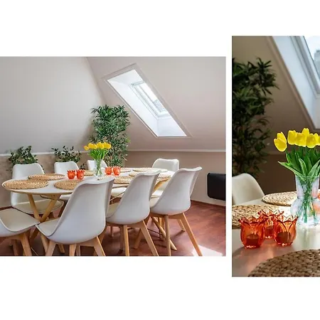 Appartement Big, Bright & Beautiful - With 6 Large Bedrooms Bergen